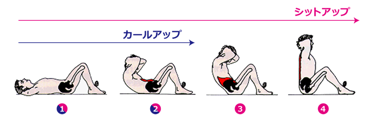 図１　シットアップとカールアップ