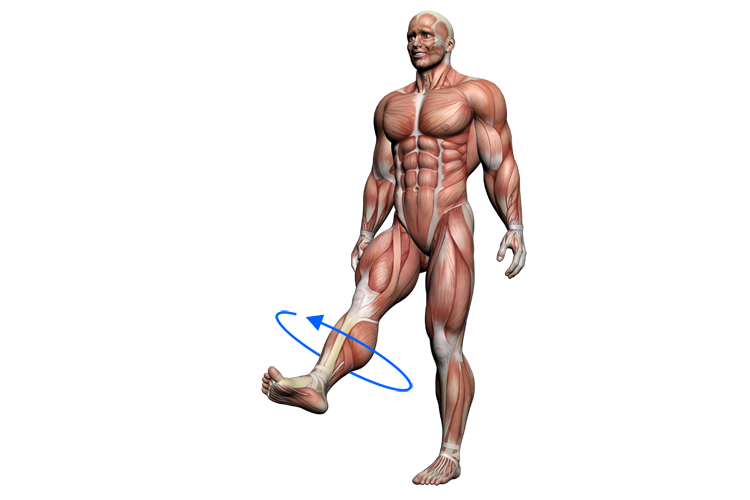 図２　お勧めの膝を回す運動
