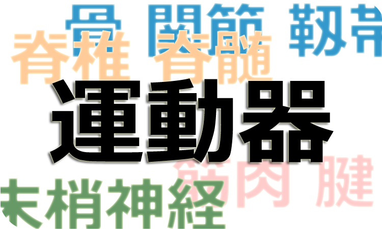 最終講：‘運動器’という考え方について