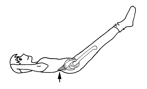 図３　ダブルレッグリフトにおける腸腰筋の働き