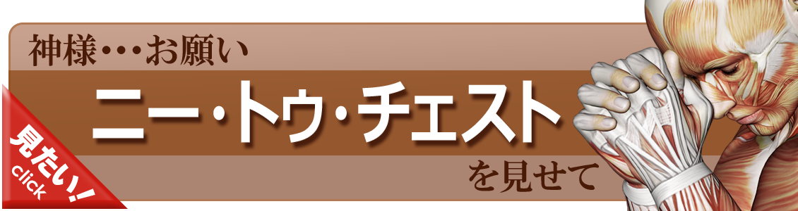 ニー・トゥ・チェストをやってみよう！