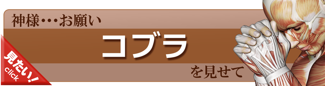 コブラをやってみよう！